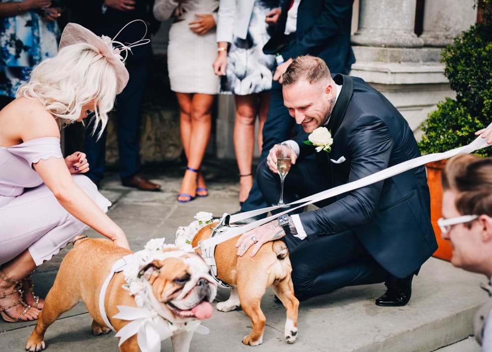 Bulldog Wedding Chaperone